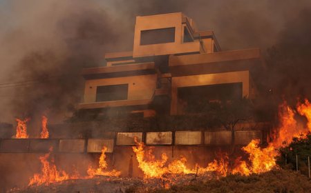 গ্রিসের এথেন্সের কাছে ভয়াবহ দাবানল