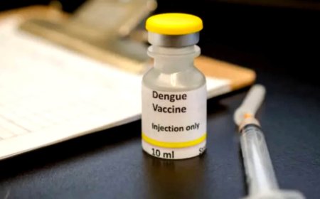ডেঙ্গু টিকা সম্পর্কে যা জানা যাচ্ছে