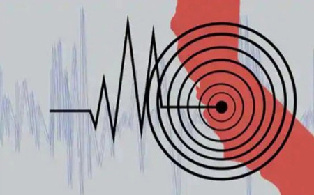 রাজধানীসহ দেশের বিভিন্ন স্থানে ৫ দশমিক ২ রিখটার  ভুমিকম্প