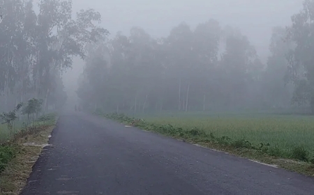 ১৩ জেলায় শৈত্যপ্রবাহ, কালও থাকতে পারে ঘন কুয়াশা