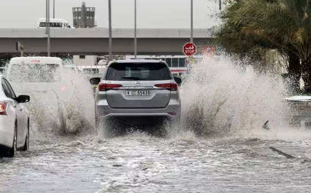 মরুর বুকে বন্যা