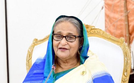 পিলখানা হত্যাকাণ্ডের পরিকল্পনাকারী’ শেখ হাসিনার ফাঁসির দাবি