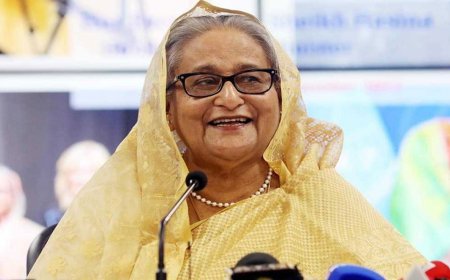 শেখ হাসিনাকে ক্ষমতাচ্যুত করার পেছনে যুক্তরাষ্ট্রের কোনো ভূমিকা নেই