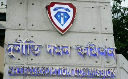 আওয়ামী লীগ সরকারের সাবেক ছয় প্রভাবশালী মন্ত্রী এমপিসহ ৩১ জনের সম্পদের তথ্য চাইল অন্তর্বর্তী সরকার