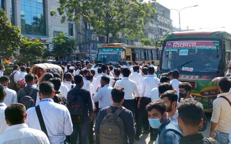 সপ্তাহে সাতদিনই বাসে হাফ ভাড়া দিতে পারবেন শিক্ষার্থীরা