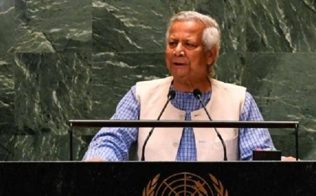 ড. মুহাম্মদ ইউনূস জাতিসংঘ সম্মেলন থেকে কী অর্জন করলেন?