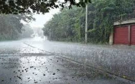 ঢাকাসহ যে ছয় বিভাগে বৃষ্টির পূর্বাভাস