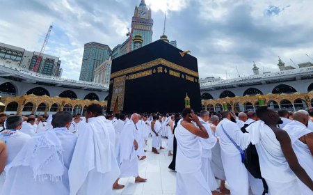 হজ যাত্রায় ১৪১ ফ্লাইটে সৌদি পৌঁছেছেন  ৫১ হাজারের বেশি হজযাত্রী |