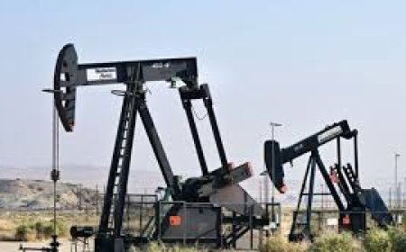 বিশ্ববাজারে জ্বালানি তেলের দাম বাড়ছেই, বাংলাদেশের সামনে কী ঝুঁকি?