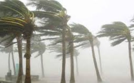 দুপুরের মধ্যে যেসব জেলায় ৬০ কিমি বেগে ঝড়  বৃষ্টির আশঙ্কা