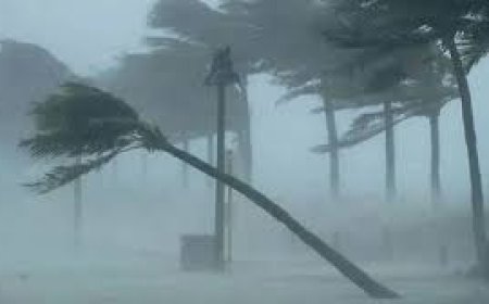 দুদিন ঢাকাসহ ৭ বিভাগে কালবৈশাখী ঝড়ের শঙ্কা