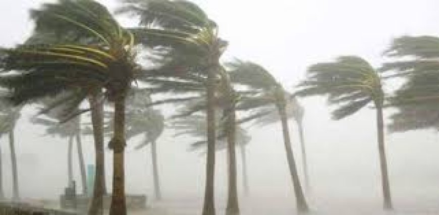 দুপুরের মধ্যে যেসব জেলায় ৬০ কিমি বেগে ঝড়  বৃষ্টির আশঙ্কা