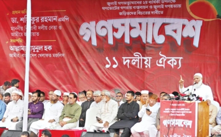গণভোটের রায় বাস্তবায়নের দাবি থেকে সরতে সরকার নানামুখী চাপ ও প্রলোভন দেখাচ্ছে