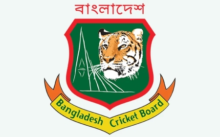 তিন কোটি টাকায় তিন লিগ: বিসিএলে আসছে ফ্র্যাঞ্চাইজি মডেল, ব্যাংকগুলোকে যুক্ত করার উদ্যোগ বিসিবির