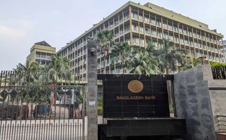 তরুণদের জন্য বাংলাদেশ ব্যাংকের ১ হাজার কোটি টাকার তহবিল: মিলবে জামানতহীন ঋণ ও অনুদান