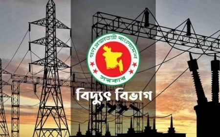 জ্বালানি সংকটে পল্লী এলাকায় লোডশেডিং বৃদ্ধি ও নিরাপত্তা শঙ্কা