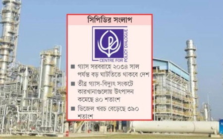 গ্যাস সংকটে স্থবির বিদ্যুৎ ও শিল্প খাত