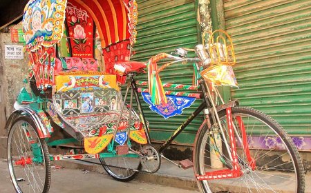 ৫০ লাখ অটোরিকশার ব্যাটারি রিচার্জে দৈনিক বিদ্যুৎ খরচ কত