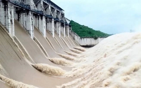 ফারাক্কার সব গেট খুলে দেওয়ার জন্য শুভেন্দুকে বিহারের মুখ্যমন্ত্রীর ফোন