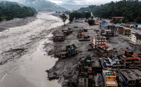 শবাগারে জায়গার তীব্র সংকট, ডিএনএ সংরক্ষণের পর অজ্ঞাত মরদেহ গণকবরের সিদ্ধান্ত