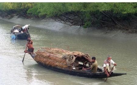 তিন মাসের নিষেধাজ্ঞা শেষে উন্মুক্ত সুন্দরবন: ফিরেছে কর্মচাঞ্চল্য, করমজলে নতুন অবকাঠামো