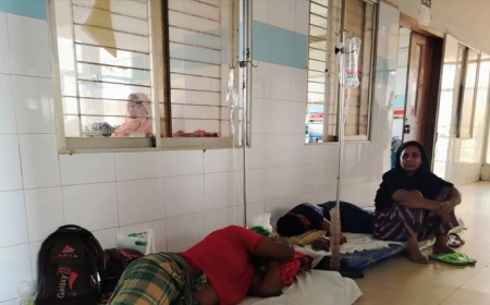 মুন্সীগঞ্জে আশঙ্কাজনকভাবে বাড়ছে ডেঙ্গু সংক্রমণ: আক্রান্ত ১৮০০ ছাড়াল, হাসপাতালে ঠাঁই নেই