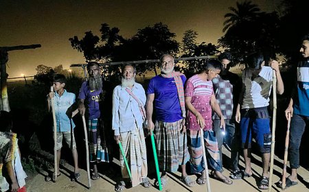 দিনাজপুর সীমান্তে বিএসএফের ‘পুশ ইন’ চেষ্টা পণ্ড