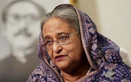 আওয়ামী লীগের দায়িত্ব পাচ্ছেন শেখ সেলিম