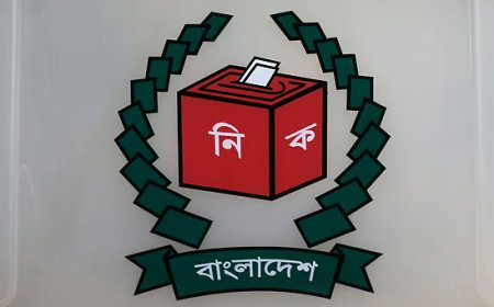 নির্দলীয় স্থানীয় সরকার নির্বাচনের নতুন আচরণবিধি জারি: পোস্টার নিষিদ্ধ ও ডিজিটাল প্রচারণায় কড়াকড়ি