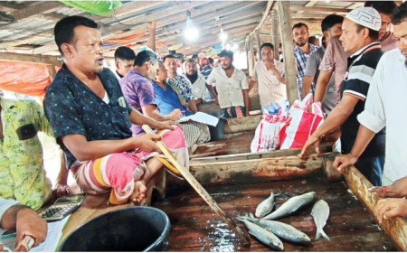 ভরা মৌসুমেও মেঘনায় মিলছে না ইলিশ