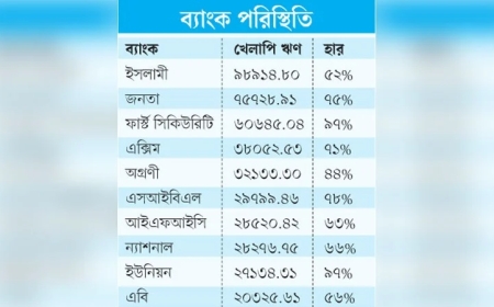 দেশের ব্যাংক খাতে ৬ লাখ কোটি টাকার খেলাপি ঋণ: ১০ ব্যাংকেই পুঞ্জীভূত ৭২ শতাংশ, শীর্ষ অবস্থানে ইসলামী ও জনতা ব্যাংক