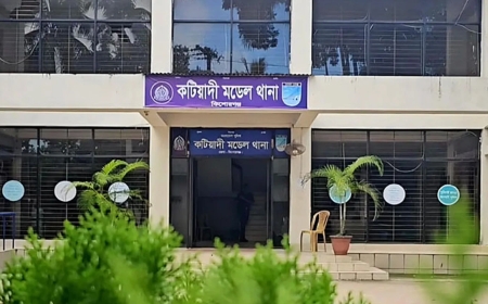কিশোরগঞ্জে মায়ের গর্ভে থাকতেই পাঁচ শিশু বিক্রি, তদন্তে পুলিশ
