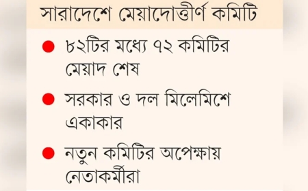 ত্রয়োদশ জাতীয় নির্বাচনের পর ঝিমিয়ে পড়েছে বিএনপির সাংগঠনিক কর্মকাণ্ড
