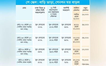 সরকারি চাকরিজীবীদের জন্য ‘নবম জাতীয় পে স্কেল ২০২৬’ জারির প্রজ্ঞাপন