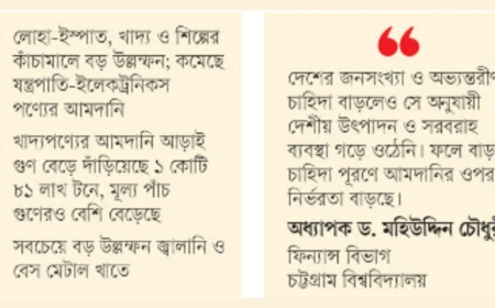 দেড় দশকে দেশে আমদানি বেড়েছে ২৬৬ শতাংশ