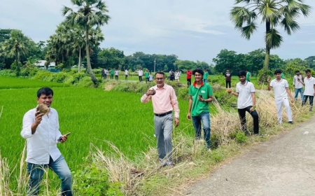 বজ্রপাত রোধে ৫ হাজার তালবীজ রোপণ কর্মসূচি