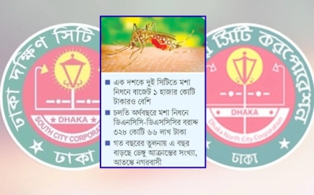 এক দশকে ১ হাজার কোটি টাকারও বেশি ব্যয়: তবুও ঢাকায় এক বছরেই ডেঙ্গু আক্রান্ত বেড়েছে প্রায় ৪০ শতাংশ