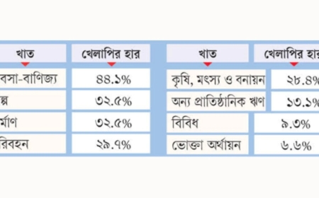 ব্যাংক খাতে সবচেয়ে বেশি খেলাপি বাণিজ্য-ব্যবসা খাতে, ঝুঁকিতে বড় শিল্পও