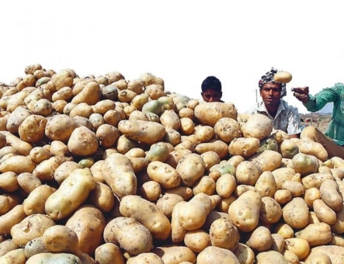 হিমাগারে আলু সংরক্ষণের ভাড়া কমাল সরকার