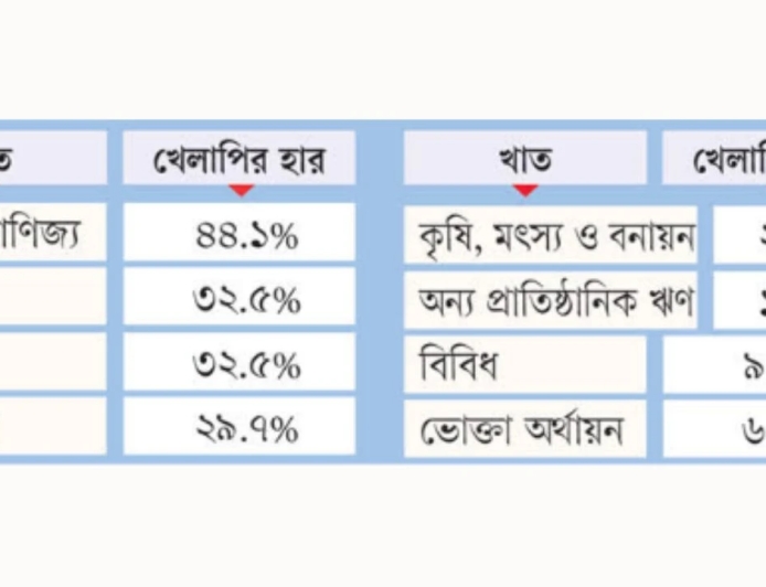 ব্যাংক খাতে সবচেয়ে বেশি খেলাপি বাণিজ্য-ব্যবসা খাতে, ঝুঁকিতে বড় শিল্পও