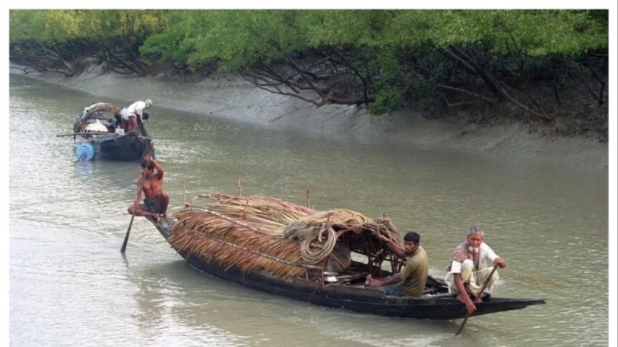 তিন মাসের নিষেধাজ্ঞা শেষে উন্মুক্ত সুন্দরবন: ফিরেছে কর্মচাঞ্চল্য, করমজলে নতুন অবকাঠামো