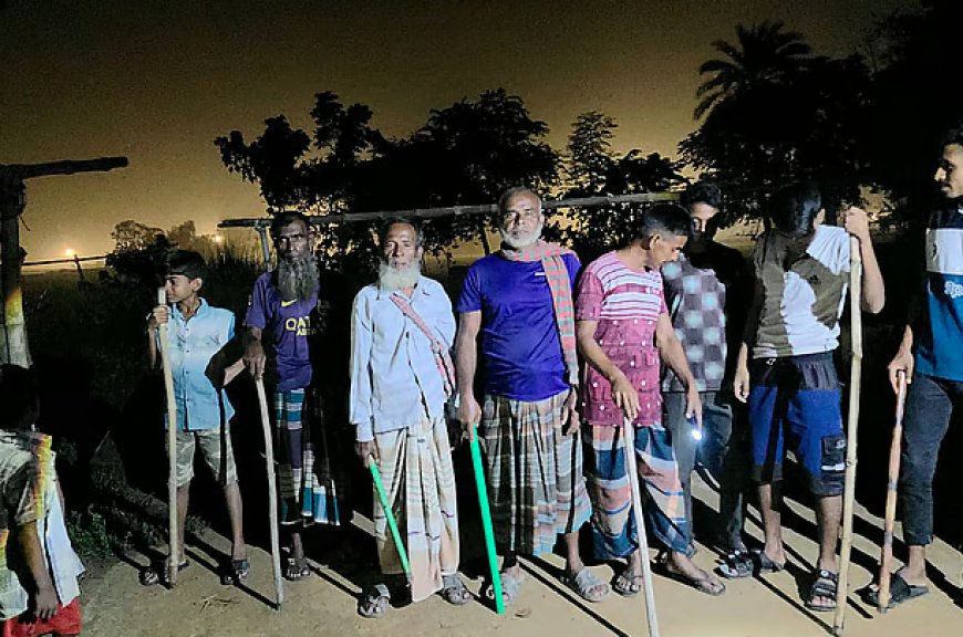 দিনাজপুর সীমান্তে বিএসএফের ‘পুশ ইন’ চেষ্টা পণ্ড
