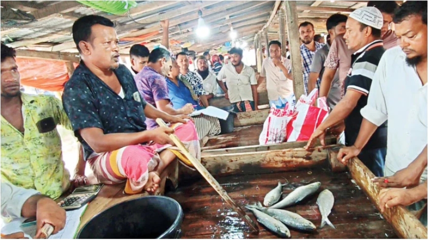 ভরা মৌসুমেও মেঘনায় মিলছে না ইলিশ