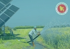 সৌর সেচে কমছে কৃষকের ব্যয়, বাড়ছে ফসল উৎপাদন