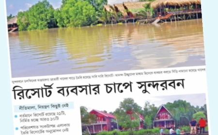 সুন্দরবনে অবৈধ ১৮ রিসোর্ট বন্ধের নির্দেশ এবং সোনাদিয়ায় প্যারাবনের চিংড়ি ঘের উচ্ছেদে নৌবাহিনী