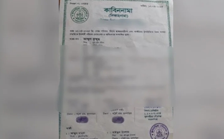 ফ্যামিলি কার্ডের প্রলোভনে বিধবার টিপসই নিয়ে ভুয়া কাবিননামা তৈরির অভিযোগ