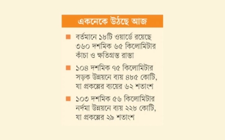 ডিএসসিসির নবসংযুক্ত ১৮ ওয়ার্ডের উন্নয়নে ৭৮৪ কোটি টাকার বিশাল প্রকল্প: আজ উঠছে একনেকে