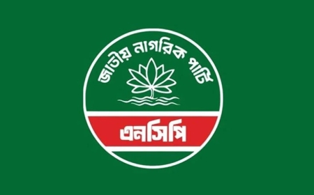 আরও ১০০ উপজেলায় প্রার্থী ঘোষণা করবে এনসিপি