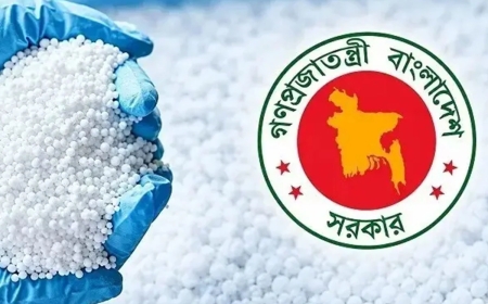 তিন দেশ থেকে ৯৬৯ কোটি টাকার সার কিনবে সরকার