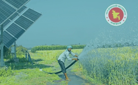 সৌর সেচে কমছে কৃষকের ব্যয়, বাড়ছে ফসল উৎপাদন